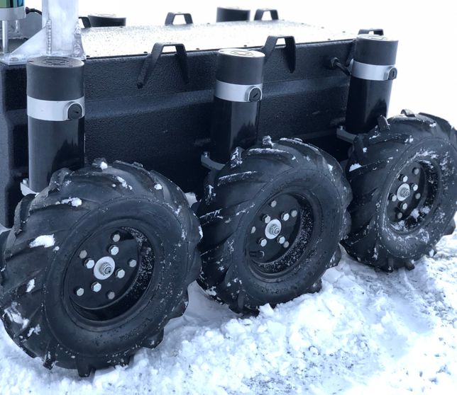 nanuk in snow