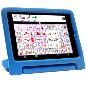 eva case